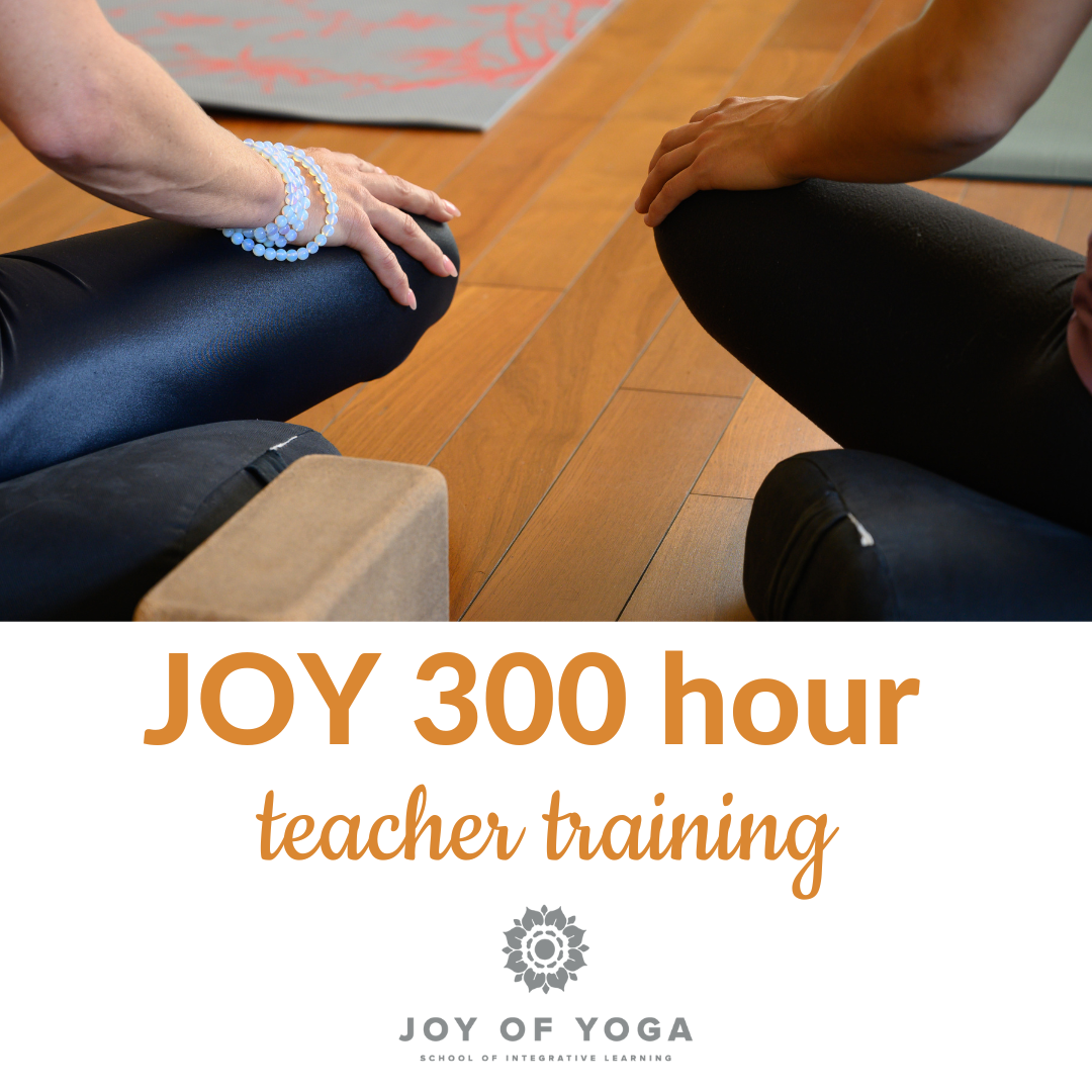 Two people are sitting on yoga bolsters near one another, with their legs crossed with their hands on their knees. View is of their hip and one arm. Titled Joy 300 hour teachers training.