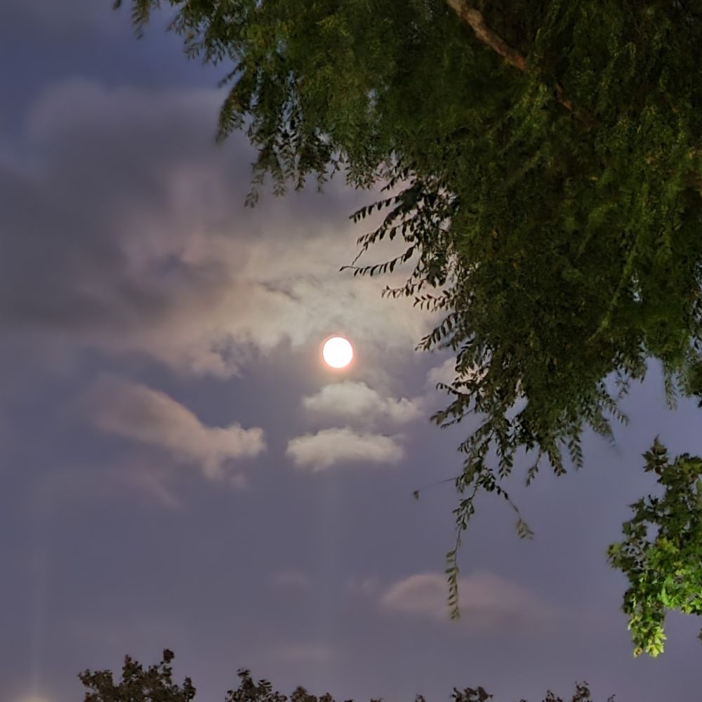 A nighttime photo of a full moon amongst clouds and trees in the foreground