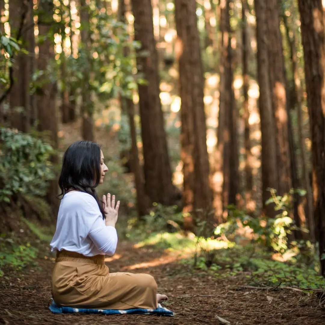 Paulette Sato is sitting on a blanket on the ground in a forest. Her hands are together at her heart center. The sun is gleaming through the tall trees.