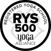 RYS-500-transparent