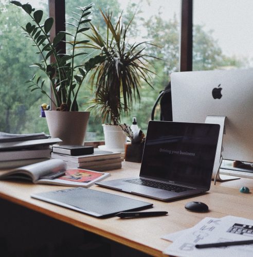 Indoor plants in office space