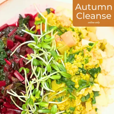 autumn cleanse photo