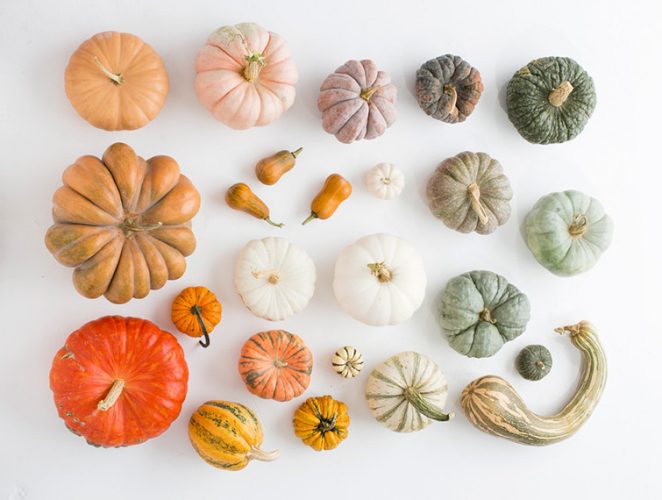 heirloom-pumpkins-fall-decor-1