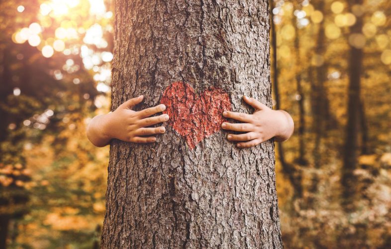 Nature lover, close up of child hands hugging tree with copy space