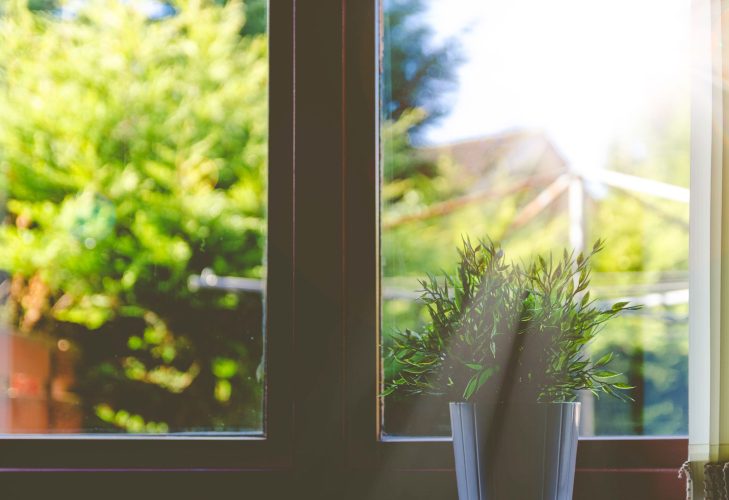 Window with plant in it