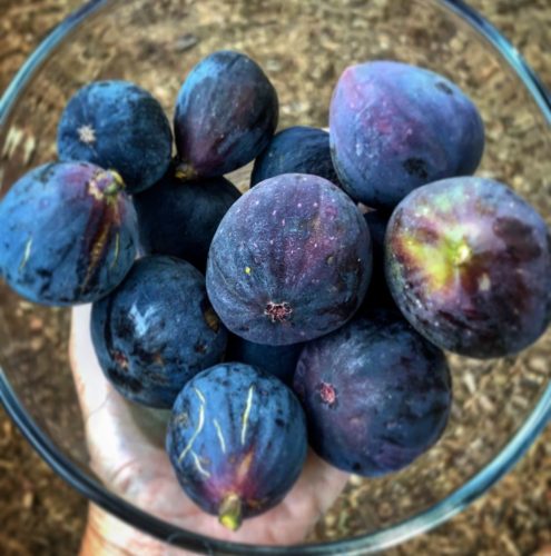 a glass bowl full of ripe figs