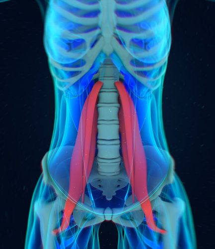 psoas