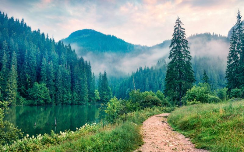 Misty morning scene of Lacu Rosu lake. Foggy summer sunrise in Harghita County, Romania, Europe. Beauty of nature concept background.