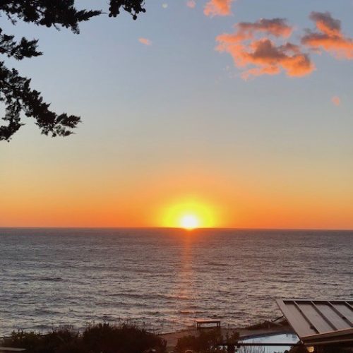 A sunrise over a body of water. Top left are a few tree branches, opposite are a sprinkling of clouds. Bottom right of the photo shows a wooden picnic bench.