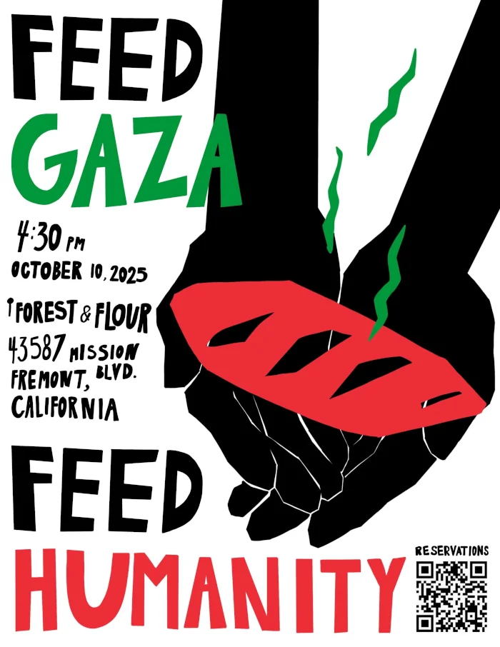 feed gaza, feed humanity donation benefit