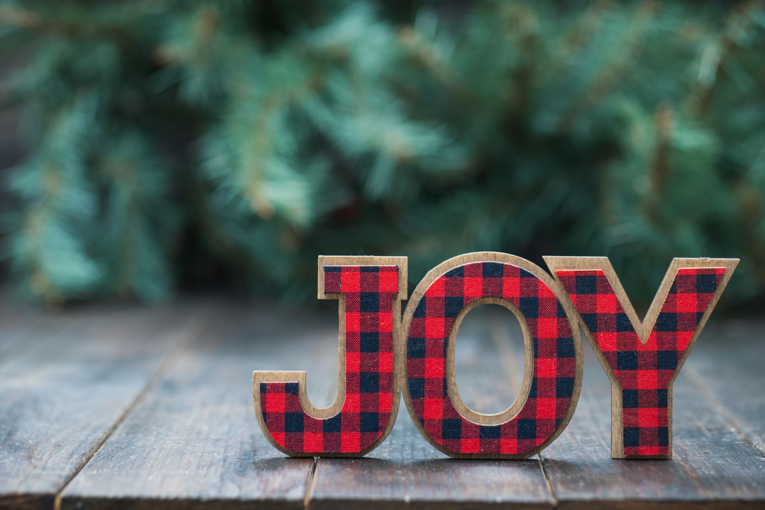 the word joy in red plaid
