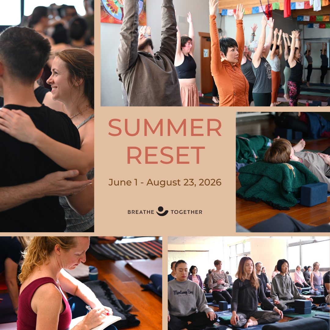 Summer 2026 Reset showing snapshots of various people participating in yoga classes